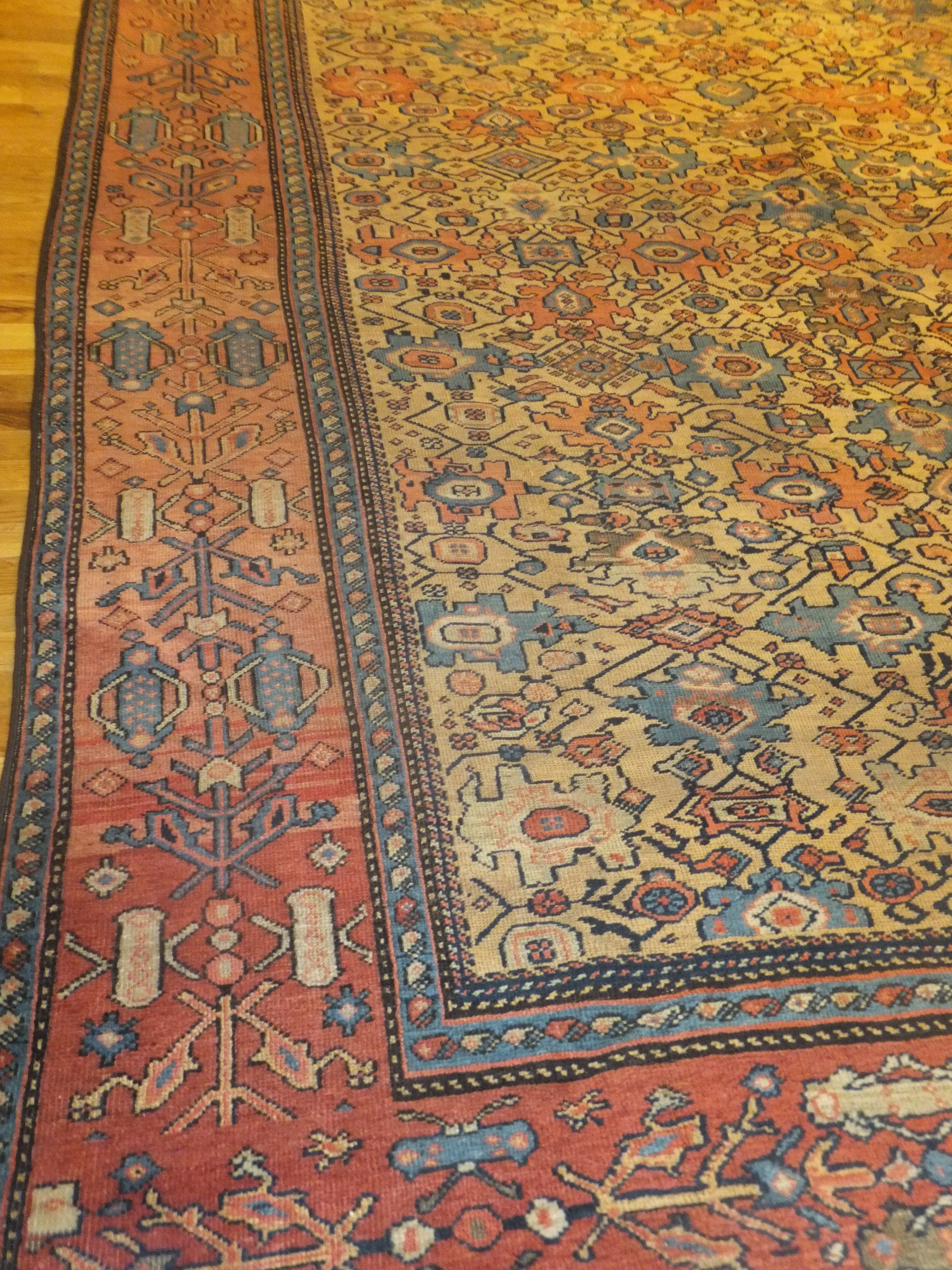 Rug image